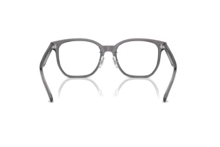 Widok z tyłu Ray-Ban RX5425D (8268)