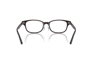 Widok z tyłu Ray-Ban RX5427D (8290)
