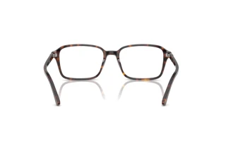 Widok z tyłu Ray-Ban RAIMOND (RX5431 - 2012)