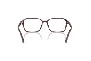 Widok z tyłu Ray-Ban RAIMOND (RX5431 - 8393)