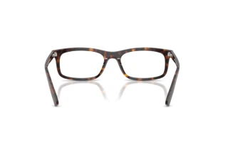Widok z tyłu Ray-Ban RX5450 (2012)
