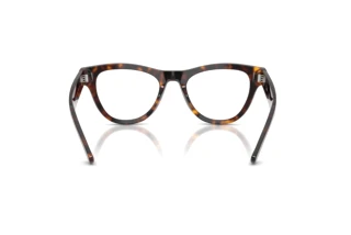 Widok z tyłu Ray-Ban RX5510 (2012)
