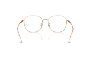 Widok z tyłu Ray-Ban RX6490D (3094)