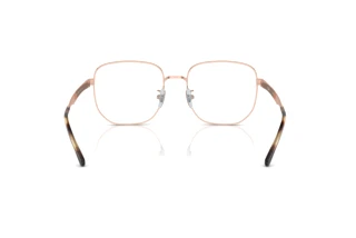 Widok z tyłu Ray-Ban RX6503D (2943)