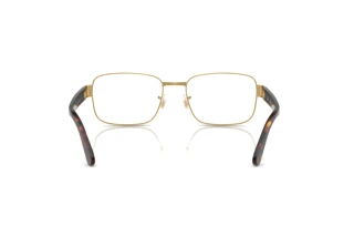 Widok z tyłu Ray-Ban RX6529 (2500)