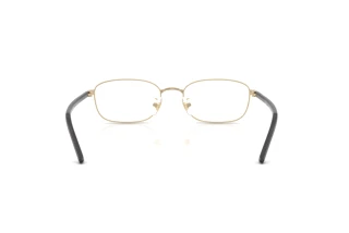 Widok z tyłu Ray-Ban RX6551D (2993)