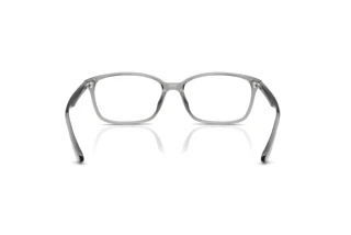 Widok z tyłu Ray-Ban RX7094D (8012)