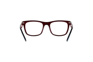 Widok z tyłu Ray-Ban RX7209 (8213)
