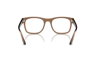 Widok z tyłu Ray-Ban RX7228 (8198)