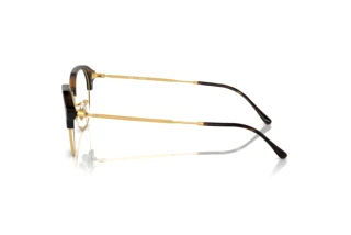 Widok z boku Ray-Ban RX7229 (2012)