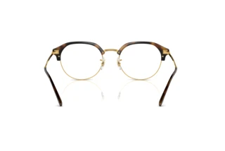 Widok z tyłu Ray-Ban RX7229 (2012)