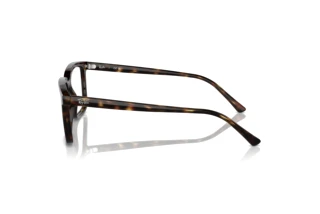 Widok z boku Ray-Ban ALAIN (RX7239 - 2012)