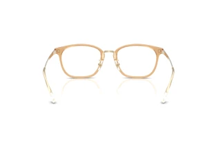 Widok z tyłu Ray-Ban RX7247D (8473)