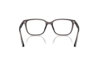 Widok z tyłu Ray-Ban RX7248D (8257)