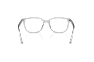 Widok z tyłu Ray-Ban RX7248D (8411)