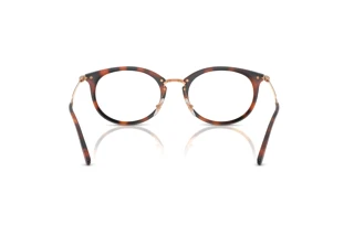 Widok z tyłu Ray-Ban RX7255 (5687)