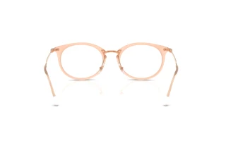Widok z tyłu Ray-Ban RX7255 (8124)