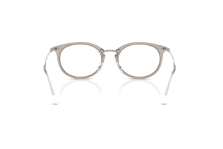 Widok z tyłu Ray-Ban RX7255 (8125)