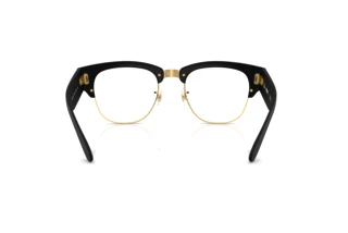 Widok z tyłu Ray-Ban RX7316V (5204)