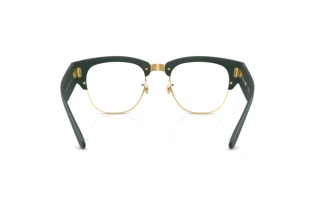 Widok z tyłu Ray-Ban RX7316V (8062)