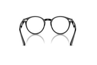 Widok z tyłu Ray-Ban LARRY (RX7680V - 2000)