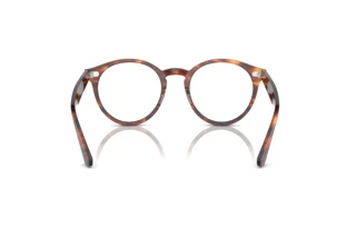 Widok z tyłu Ray-Ban LARRY (RX7680V - 2144)