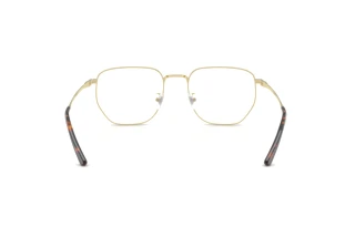 Widok z tyłu Ray-Ban RX8776D (1251)