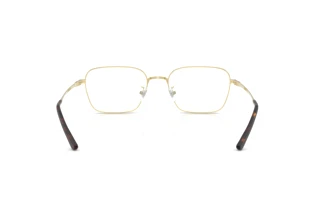 Widok z tyłu Ray-Ban RX8784D (1251)