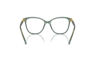 Widok z tyłu Swarovski SK2020 (1043)