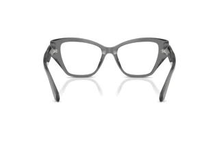 Widok z tyłu Swarovski SK2050U (1072)