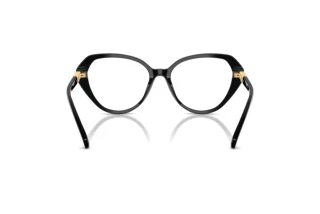 Widok z tyłu Swarovski SK2054 (1001)