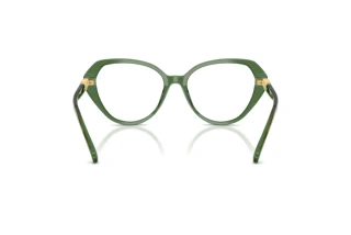 Widok z tyłu Swarovski SK2054 (1085)