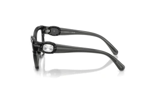Widok z boku Swarovski SK2056U (1087)