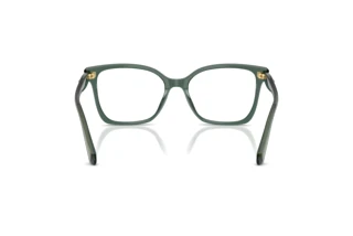 Widok z tyłu Swarovski SK2061 (1043)