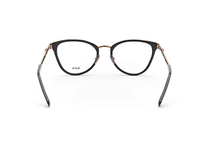 Widok z tyłu Sylvie Optics SHOW IT (1902 - 04)