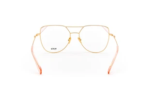 Widok z tyłu Sylvie Optics GET IT (1903 - 04)