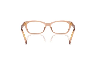 Widok z tyłu Tory Burch TY2144U (1954)