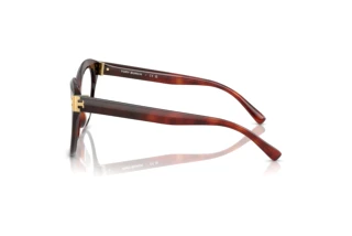Widok z boku Tory Burch TY2154U (2011)