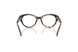 Widok z tyłu Tory Burch TY2160U (1981)