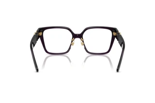 Widok z tyłu Versace VE3371D (5263)