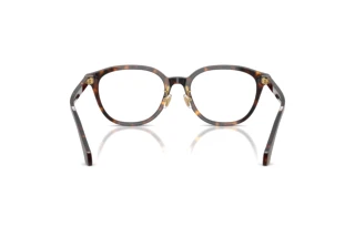 Widok z tyłu Versace VE3379D (108)