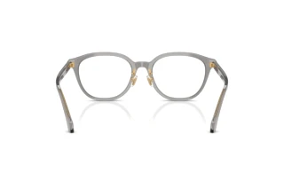 Widok z tyłu Versace VE3379D (5510)