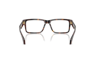Widok z tyłu Versace VE3391U (108)