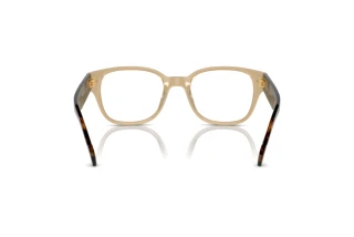 Widok z tyłu Vogue Eyewear VO5529 (W900)