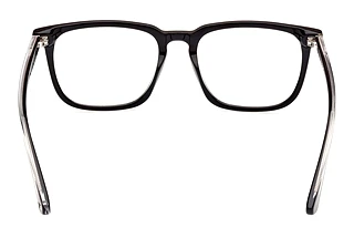 Widok z tyłu Web Eyewear WE5430 (001)