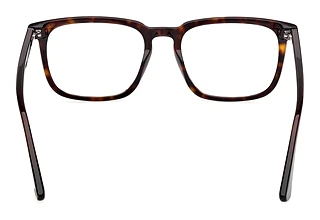 Widok z tyłu Web Eyewear WE5430 (052)