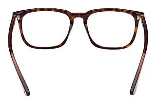 Widok z tyłu Web Eyewear WE5430 (056)