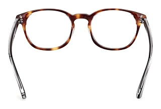 Widok z tyłu Web Eyewear WE5441 (056)