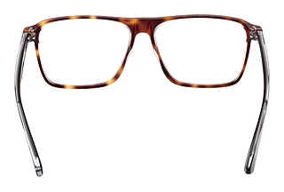 Widok z tyłu Web Eyewear WE5442 (056)