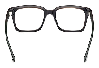 Widok z tyłu Web Eyewear WE5452 (098)